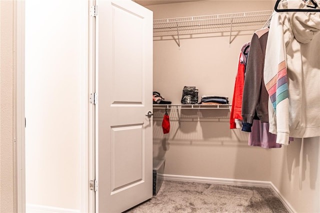 walk in closet featuring light carpet