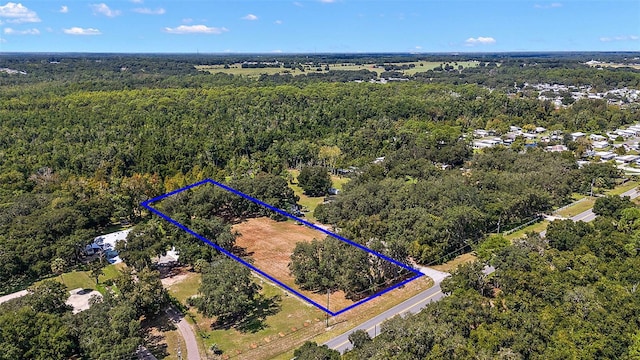 Lake Unity Rd, Fruitland Park, FL 34731 - photo 1
