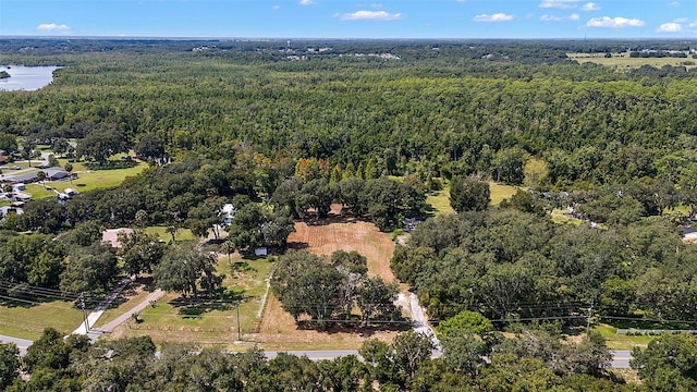 Lake Unity Rd, Fruitland Park, FL 34731 - photo 3
