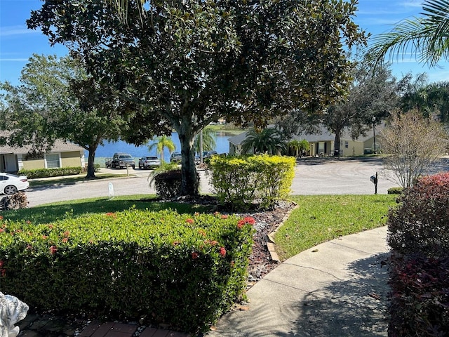 view of yard with a water view