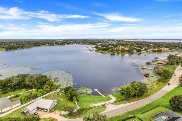 drone / aerial view with a water view