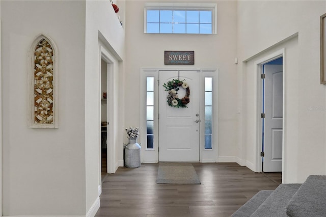 entryway with dark hardwood / wood-style flooring and a high ceiling