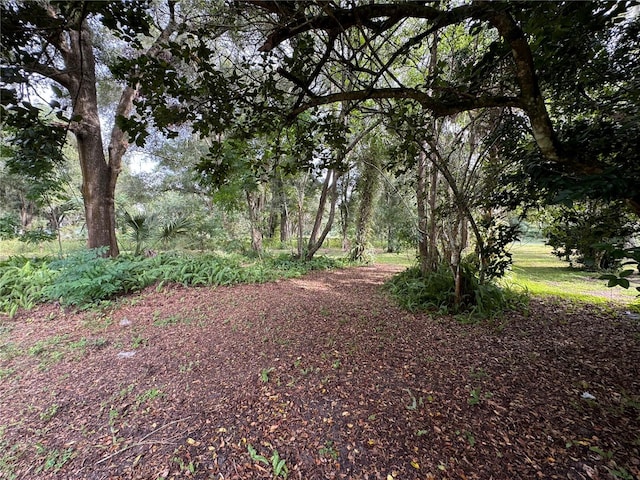 view of landscape