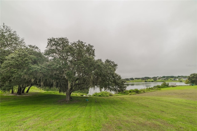 view of yard with a water view