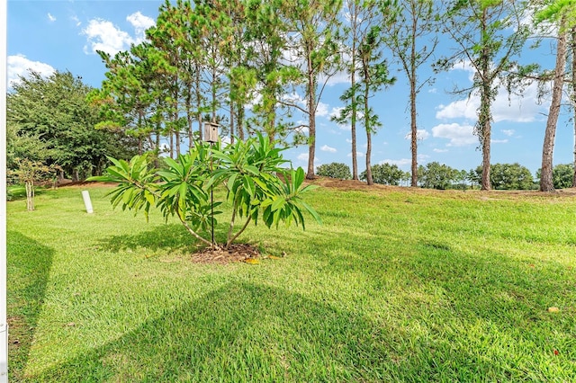 view of yard