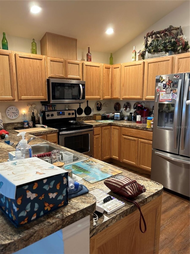 kitchen with lofted ceiling, appliances with stainless steel finishes, and dark hardwood / wood-style flooring