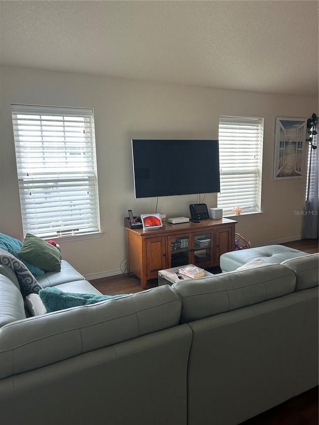 104 Turtle Run, Umatilla, FL 32784 - living area with baseboards and wood finished floors
