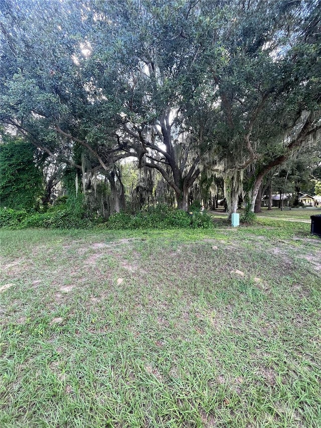 Listing photo 3 for TBDLOT9 Grass Roots Rd, Groveland FL 34736