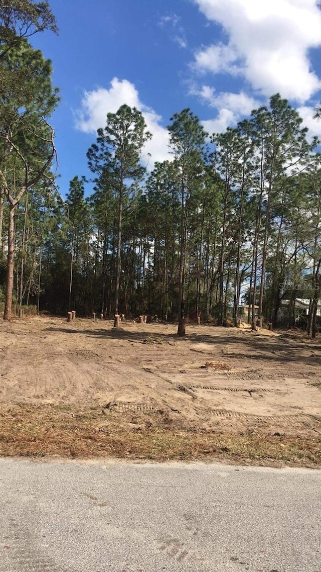 Se 87 Terrace, Belleview, FL 34420