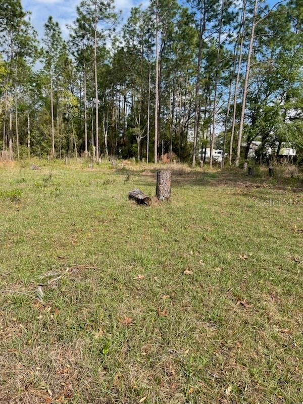 Se 87 Terrace, Belleview, FL 34420