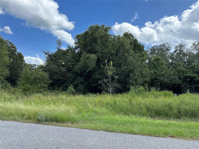 7037 N Castlebury Rd, Hernando FL, 34442 land for sale