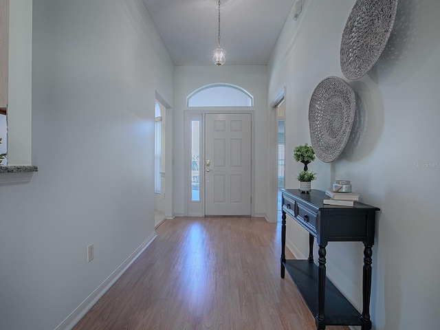 foyer featuring wood-type flooring