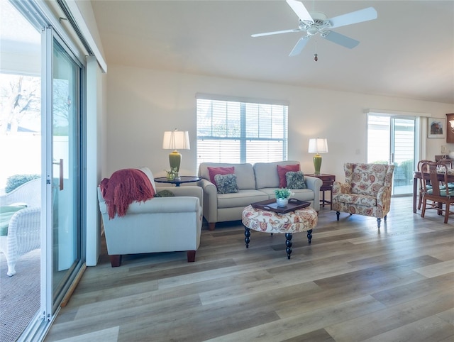 living room featuring ceiling fan and light hardwood / wood-style flooring