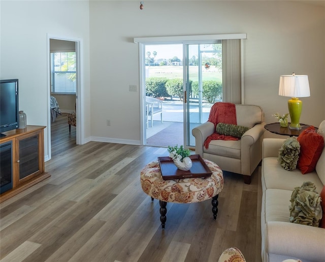 living room featuring light hardwood / wood-style floors