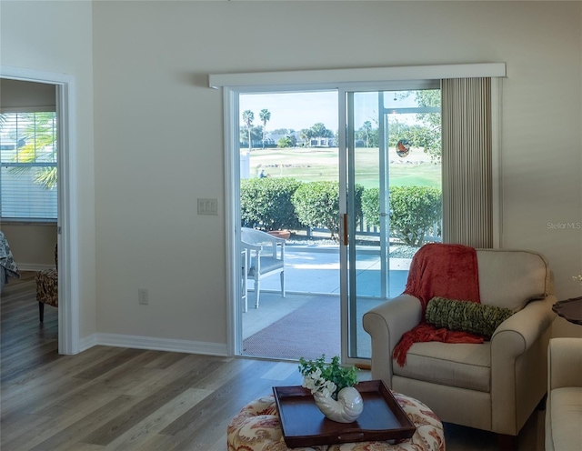 entryway featuring a healthy amount of sunlight and light wood-type flooring