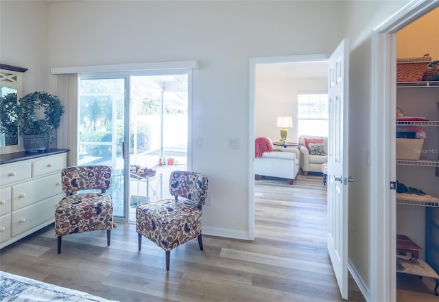 sitting room with light wood-type flooring