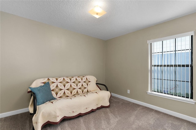 sitting room featuring carpet and a textured ceiling