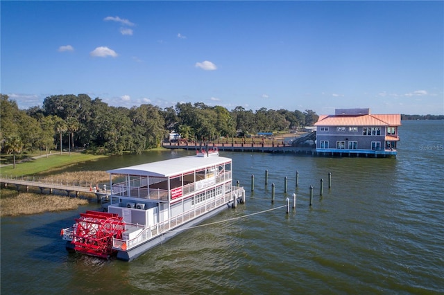 dock area with a water view