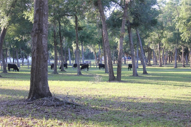 view of property's community featuring a yard