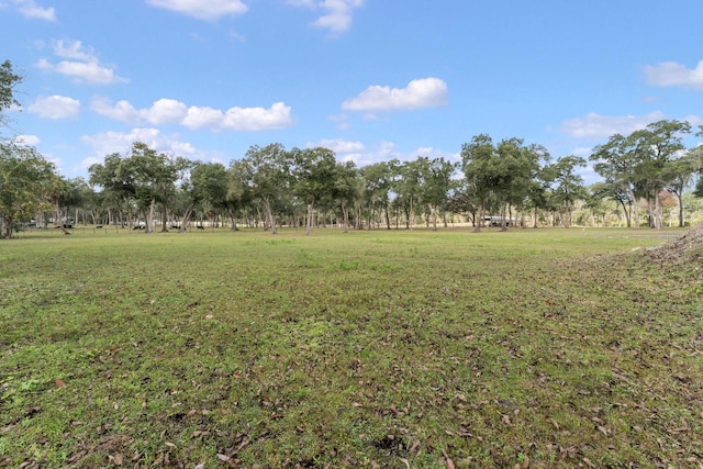 view of yard featuring a rural view