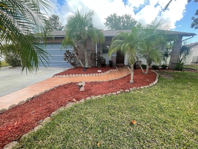 1415 Harnden Rd W, Port Orange, FL 32129 - view of front of property featuring driveway and a front lawn