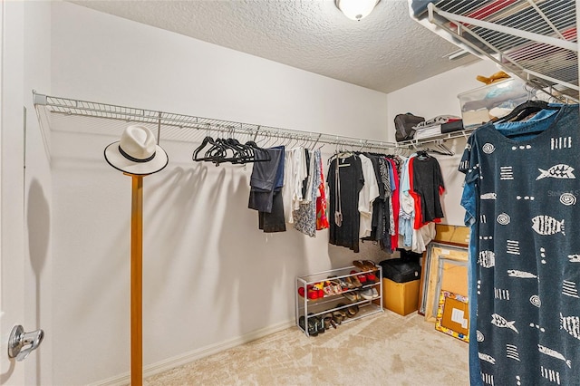 walk in closet featuring carpet