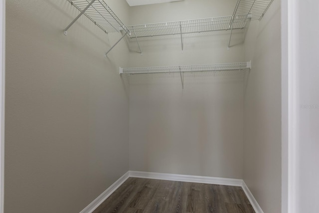 spacious closet featuring dark hardwood / wood-style floors