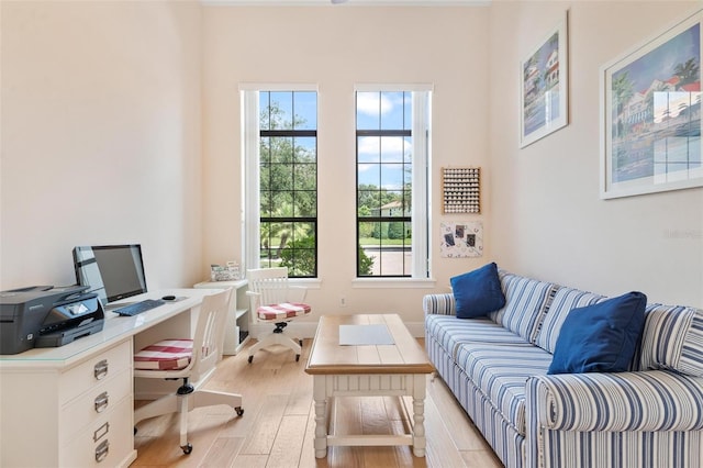 office space featuring light hardwood / wood-style flooring