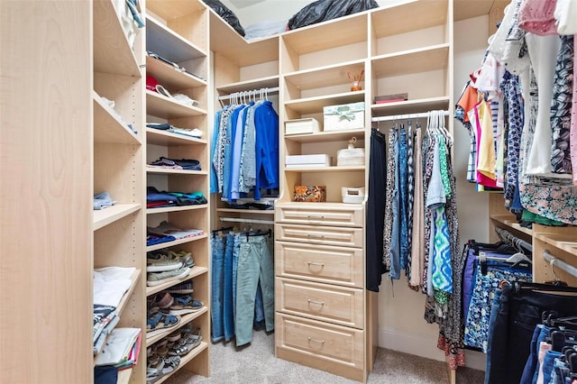 walk in closet featuring light carpet