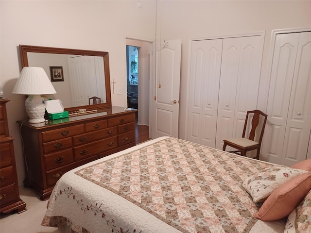 carpeted bedroom with two closets