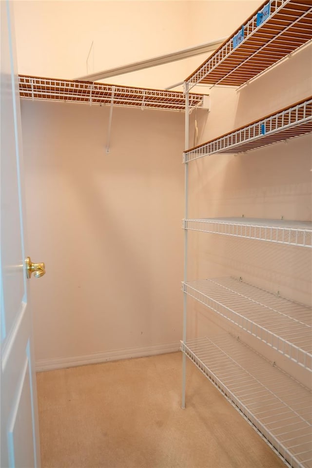 walk in closet with carpet floors