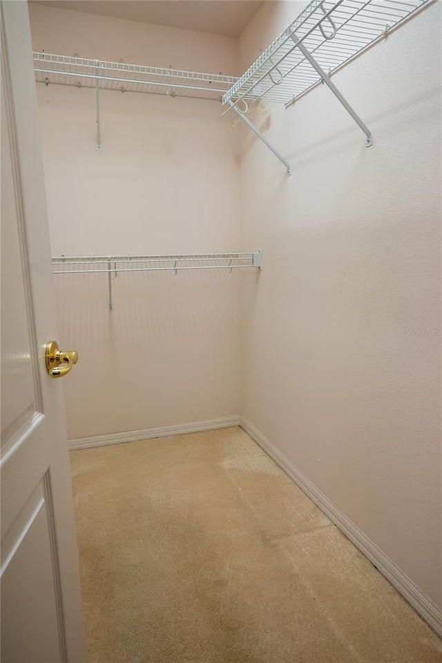 spacious closet with light colored carpet