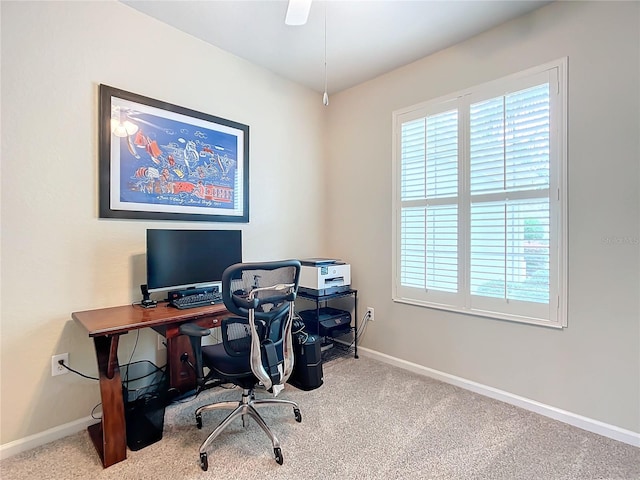 office space with carpet floors