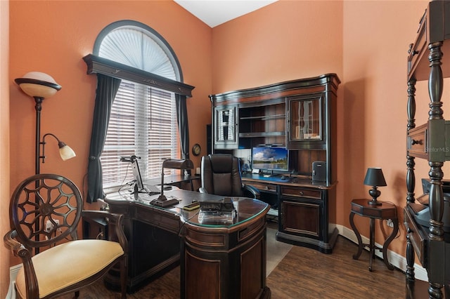 office area featuring a healthy amount of sunlight and dark hardwood / wood-style flooring