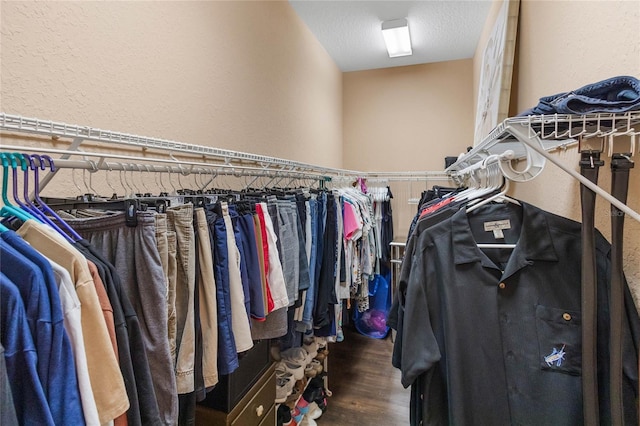 spacious closet featuring dark hardwood / wood-style flooring