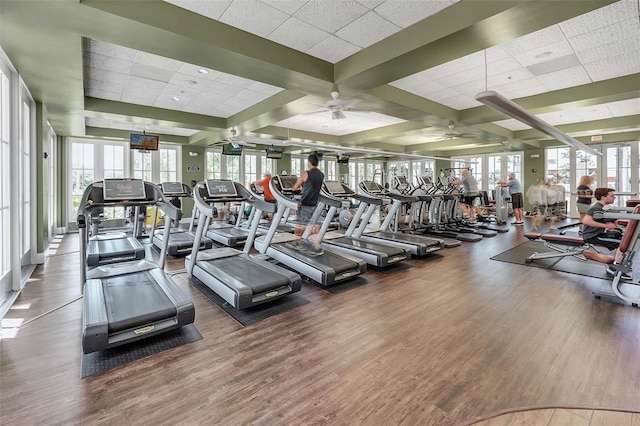 gym with a drop ceiling, a wealth of natural light, ceiling fan, and dark hardwood / wood-style floors