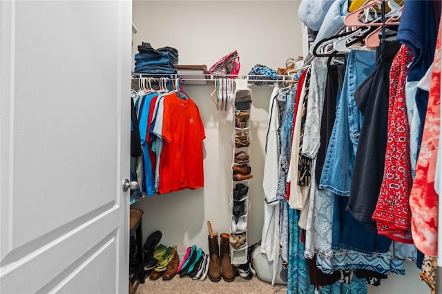 walk in closet featuring carpet flooring