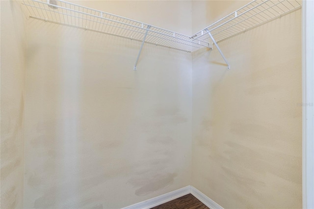 spacious closet featuring hardwood / wood-style floors