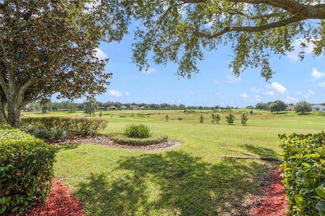 view of yard with a rural view