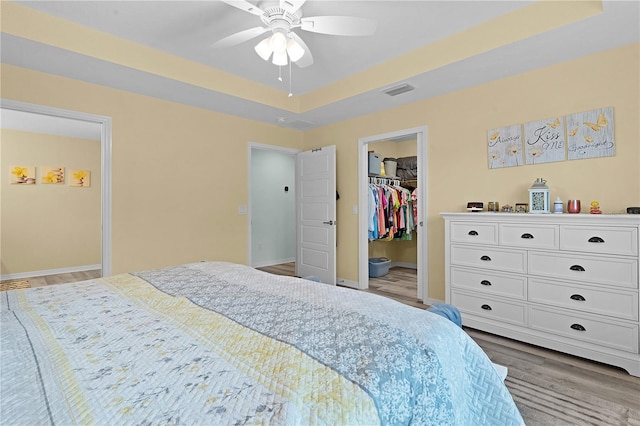 bedroom featuring a closet, a tray ceiling, ceiling fan, a walk in closet, and hardwood / wood-style floors