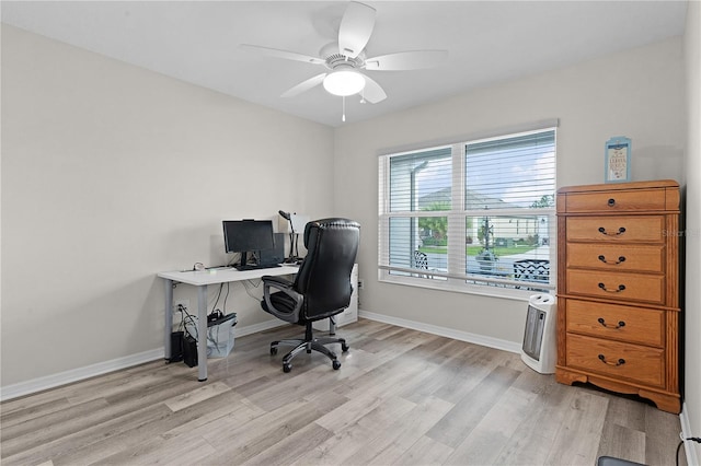 office space with light hardwood / wood-style floors and ceiling fan