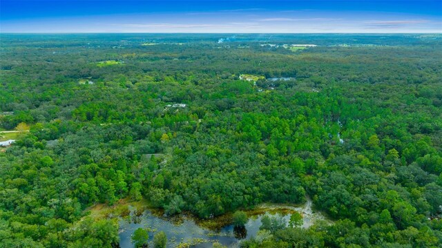 34167 Belt Dr, Dade City, FL 33523 - photo 4