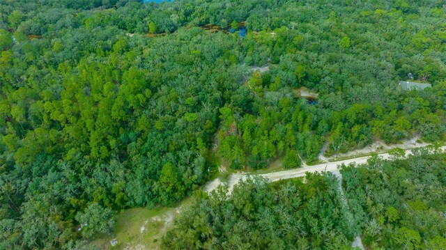 34167 Belt Dr, Dade City, FL 33523 - photo 6