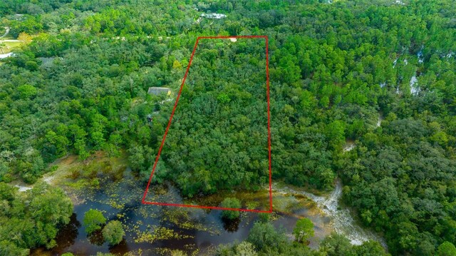 34167 Belt Dr, Dade City, FL 33523 - photo 9