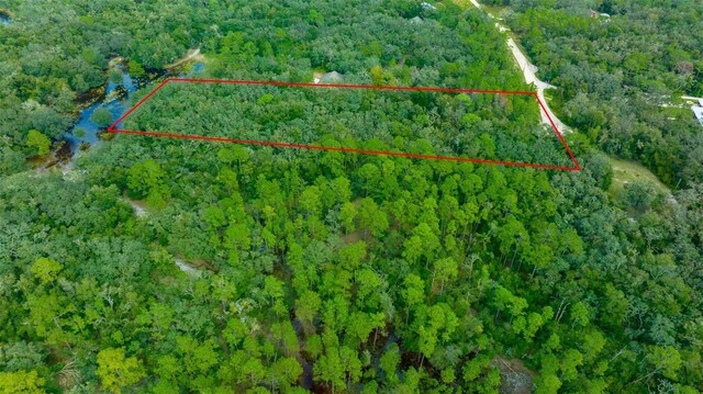 34167 Belt Dr, Dade City, FL 33523 - photo 13