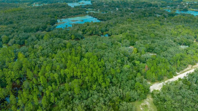 34167 Belt Dr, Dade City, FL 33523 - photo 14