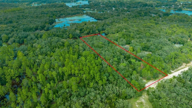 34167 Belt Dr, Dade City, FL 33523 - photo 15