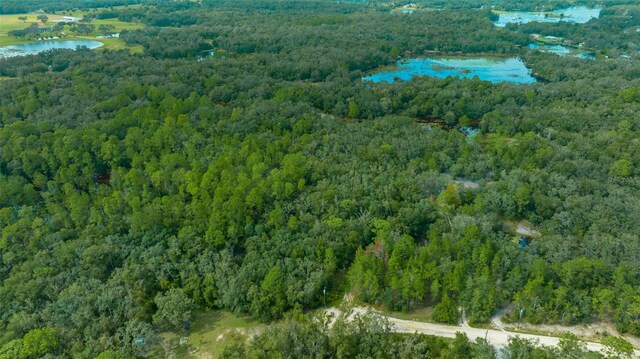 34167 Belt Dr, Dade City, FL 33523 - photo 16