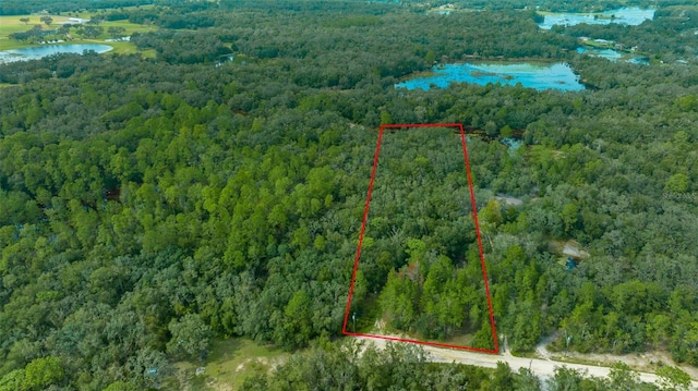 34167 Belt Dr, Dade City, FL 33523 - photo 17