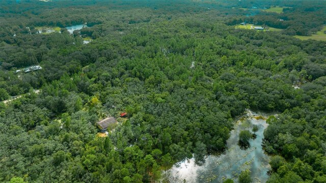 34167 Belt Dr, Dade City, FL 33523 - photo 18